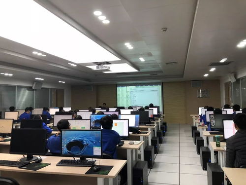 集團(tuán)舉辦青工常用辦公軟件技能提升培訓(xùn)與技術(shù)比武，賦能軟件技術(shù)開發(fā)人才成長